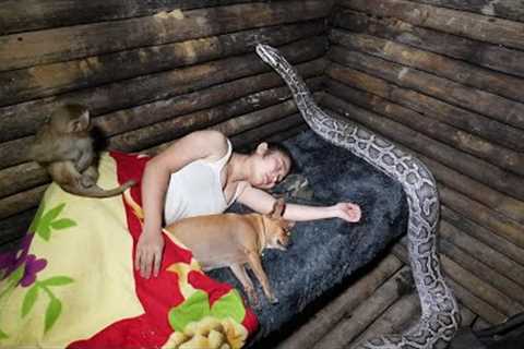 While Sleeping, a Large Python Attacks and Prepares to Constrict.../ Huyen P.2 - Series I