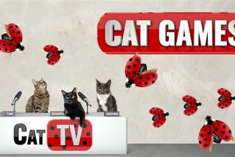 CAT Games TV | Little Miss Ladybug | Cat Games 4K | Videos For Cats to Watch | 😼