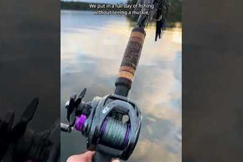 The Hardest Fish to Catch...