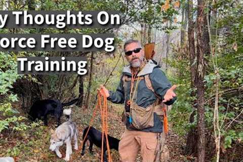 Force Free Dog Training | Uncle Stonnie's Opinion