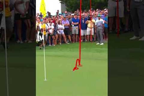Oh, just Tiger doing Tiger things 🐅