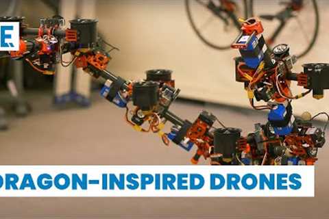 How Dragons and Insects are Inspiring Drones of the Future