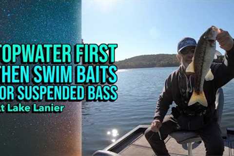 Topwater First, Then Swim Baits For Suspended Bass At Lake Lanier #lakelanierfishing2023
