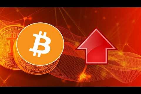 PUMP THAT BITCOIN!! Lets go! LET THE BULLRUN BEGIN! DESTROY THOSE 10k BEARS!