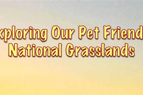 Exploring America’s National Grasslands With Dogs