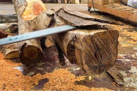 DIY Wood Projects // Turning Discarded Wood Trunks into Plant Stands