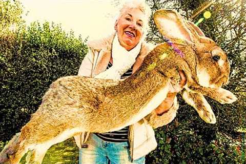 Is it LEGAL to Own these exotic PETS?