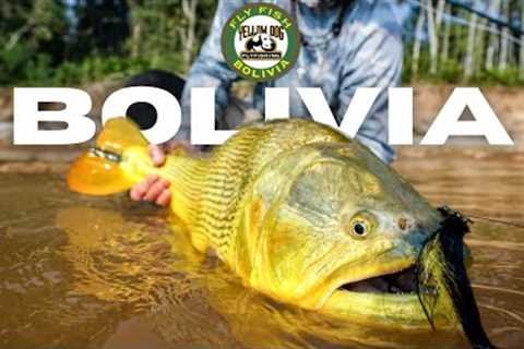 Fly Fishing Bolivia | Yellow Dog Field Reports