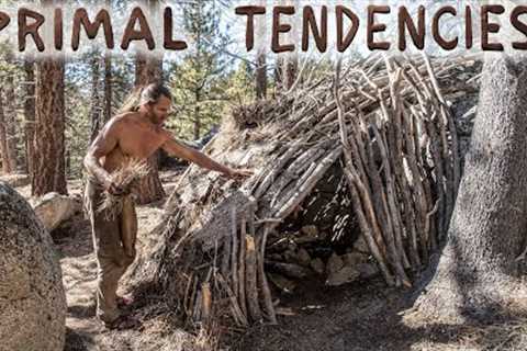 Primitive Emergency Survival Shelter in the Mountains (Season 2, episode 8)