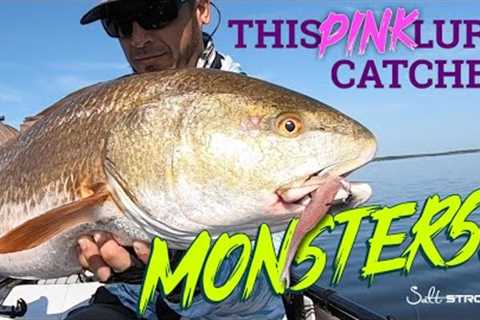 THIS Lure Reels In Monsters! (#1 Lure Color For Fall Giants)
