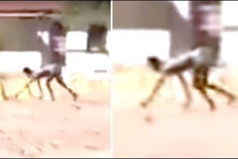5 Mysterious Creatures Caught On Camera That Cannot Be Explained