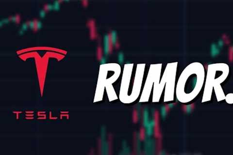 TESLA BULLS ARE BACK IN CONTROL..  (Cruise Robo-Taxi's SHUT DOWN)