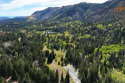 Mountain Biking Dream Trail: EPIC High Elevation Tiger Trout On Dragonflies | Fly Fishing