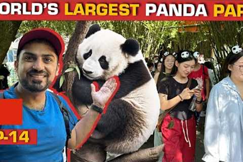 Welcome to the HOME OF PANDAS 🇨🇳| CHENGDU - SECHUAN [EP-14] CHINA SERIES