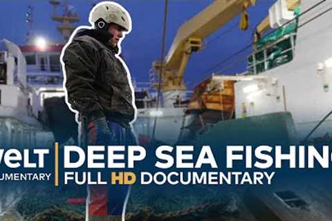DEEP SEA FISHING - Hard Work On The High Seas | Full Documentary