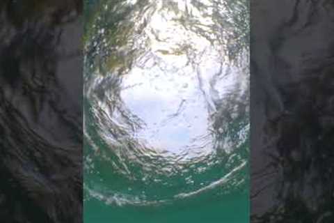What your bait sees when fishing!