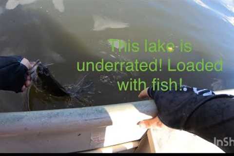 Multi species fishing! (Fort Yargo Lake)