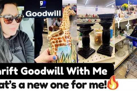 exploring new territory! thrifting goodwill for home decor!🔥