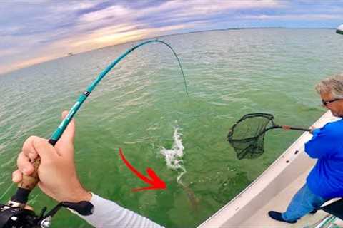 THESE are the FISH everyone DREAMS of CATCHING! (Catch Clean Cook)