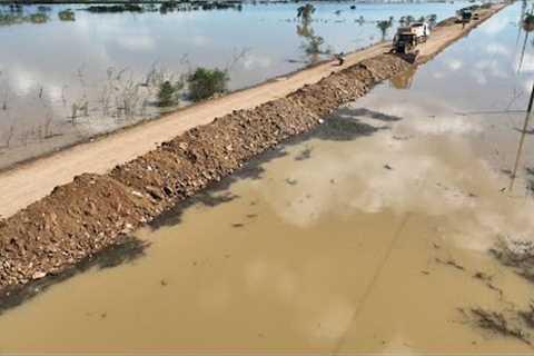 Wow Incredible Action Of SHANTUI Bulldozer Pushing Stones Repair The Road With Heavy Trucks