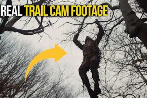 The World's Most Shocking Trail Cam Captures - Stay Till the End!