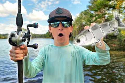 Fall Fishing With My Favorite Swimbait (Trophy Hunting)