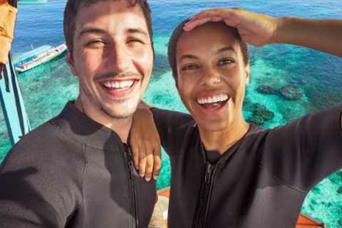 Diving the PARADISE WATERS of Thailand! (getting our scuba cert in Koh Tao!)