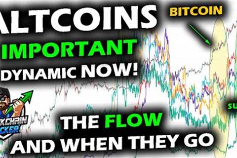 Bitcoin and Altcoins: DIVERGENCE to EXPLOSION, How this Bitcoin Price Dynamic Lead to Altcoin Surges
