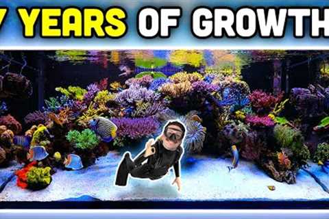 INSANE Reef Aquarium! Keys to AMAZING Coral Growth and Fish Keeping!