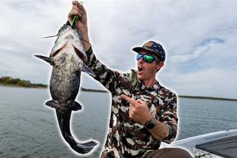Fishing the Fall Transition | Everything Eating Shad!