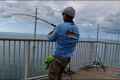 World's BEST Fishing Spot!! (Florida Keys Bridge Fishing)