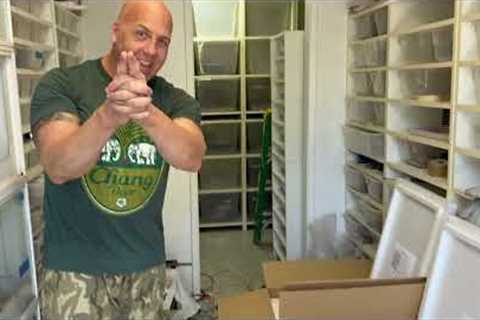 EXPORTING REPTILES | HOW DO WE DO IT?