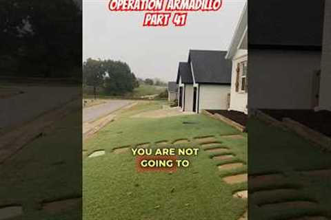 I was WRONG!😡🥺#lawncare #youtube #shorts