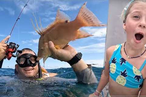 HOG DOGGING!! FISHING UNDERWATER With Live Crabs! I Can’t believe this WORKED!