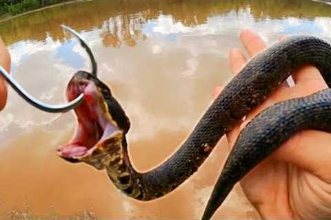 Deadly Snakes for Bait Catch Monster Fish