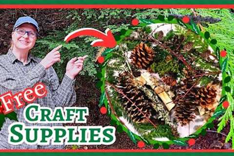 Foraging For Beautiful Free Craft Supplies for our Nature Inspired Craft Projects