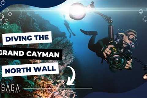 SCUBA Diving the Cayman Islands North Wall