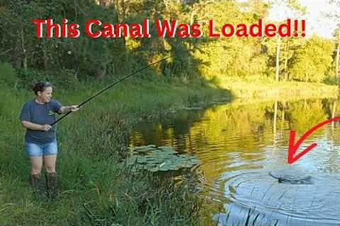 Caught This INVASIVE Fish in An Old Canal Fishing For BLUEGILL!! (Catch and Cook)!!