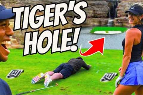 HOLE IN ONE On TIGER WOODS' INSANE $1,000,000 Hole!