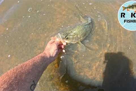 Action packed fishing at Barkers Creek Reservoir