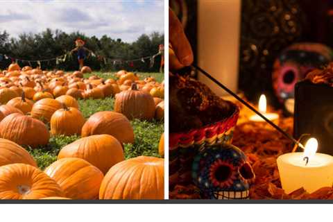 Fall Activities In Tucson