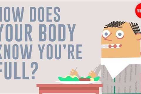 How does your body know you're full? - Hilary Coller