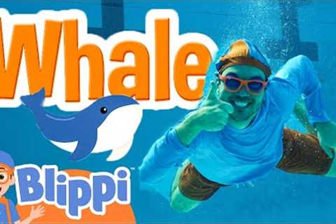 SD Scuba Diving: Underwater LOLs! 🌊🤣| BLIPPI| Kids TV Shows | Cartoons For Kids | Fun Anime