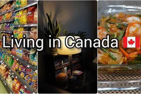 Back home | Daily life living in Canada | Grocery shopping | Good time to make Kimchi :)