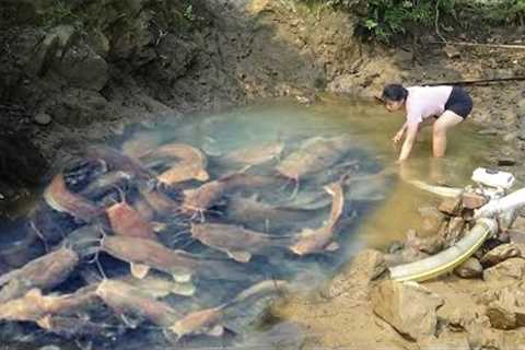 Amazing Fishing Videos: Survival Skills, Catch many Fish, Modern technology fishing, Pump Fishing