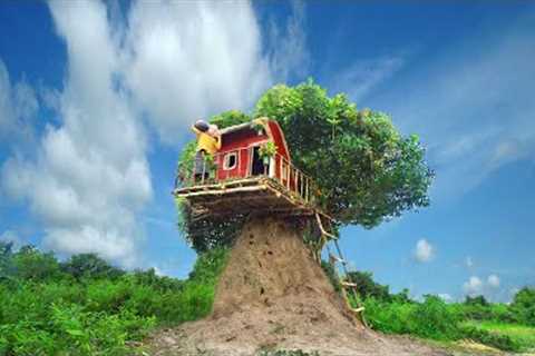 Survival Girl Living Alone Building a House in the Woods on Highland