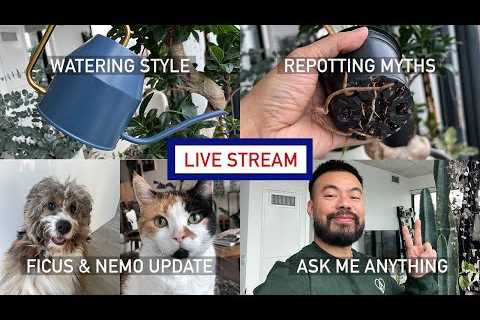 Watering Habits, Repotting Myths, Ficus &amp; Nemo, Ask Me Anything - LIVE STREAM