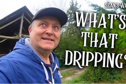 I Found A Leak!  | Cottage Renovation Episode 43