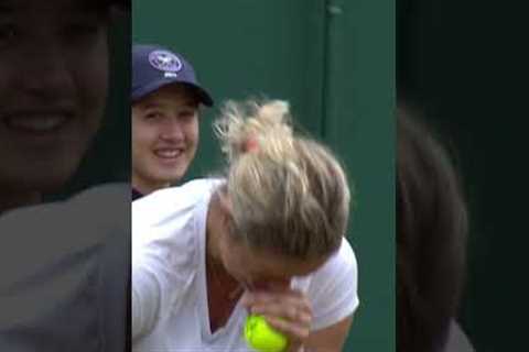 One of the Funniest Moments in Wimbledon History 😂