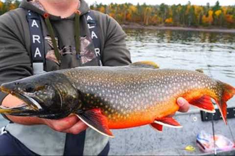 Fall Trout Fishing on Lake Superior (These Fish are GORGEOUS!)- Homemade Venison Stew